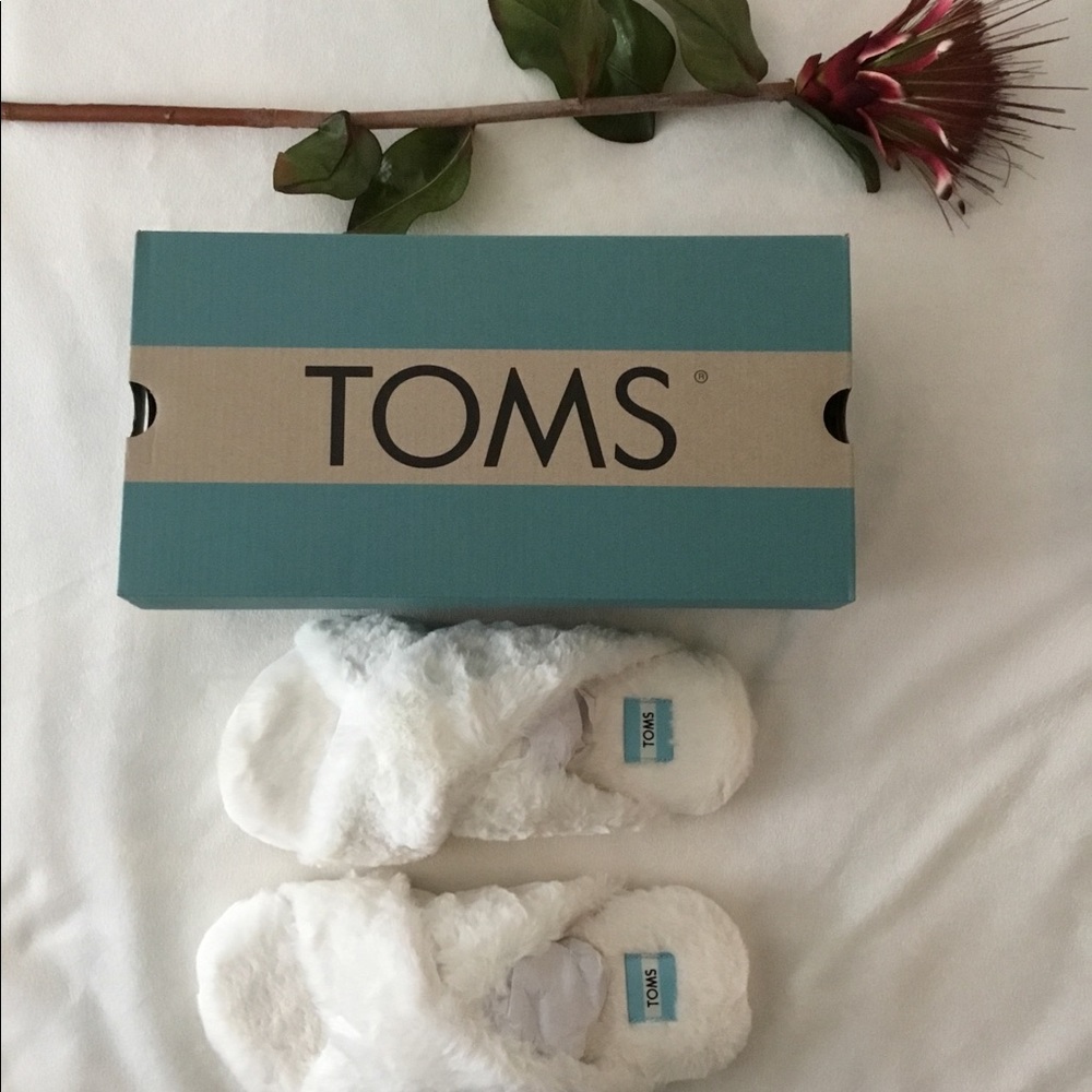 New in box TOMS slippers